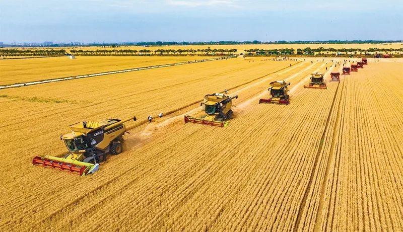 1745484810422028676.jpg 图片 1.jpg