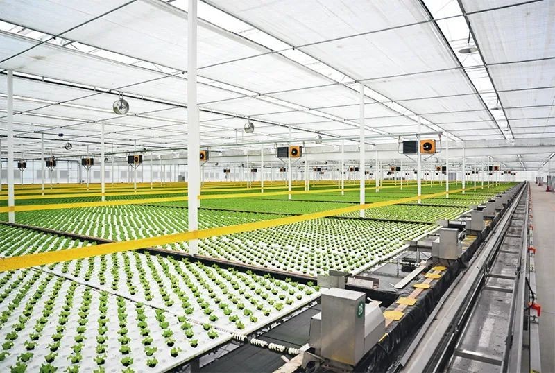 1745484818729096403.jpg 图片 2.jpg