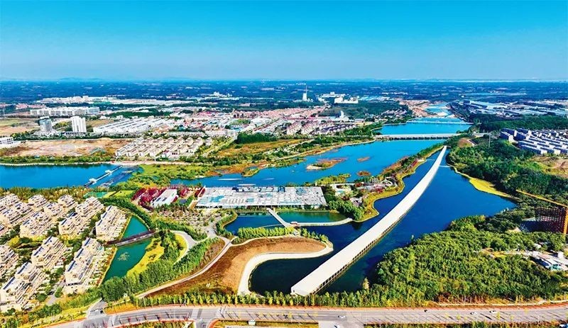 1745484827102699099.jpg 图片 3.jpg