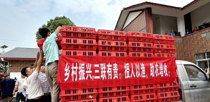 1748585999872044628.jpg 图片 2.jpg