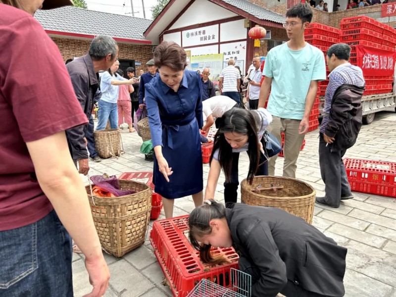 1748586003859087939.jpg 图片 3.jpg