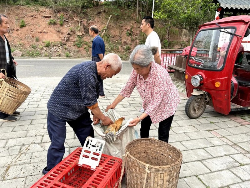 1748586019487025619.jpg 图片 6.jpg