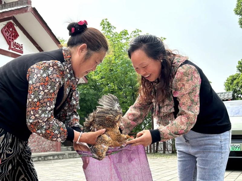 1748586024456003935.jpg 图片 7.jpg